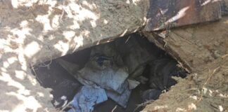 Agentes policiales incautan 14 fardos de cocaína en orilla de playa en Colón