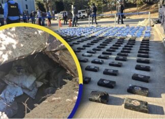 Autoridades informaron que se han hallado 340 kilos de cocaína enterrados en una playa de Colón