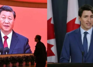 China impone aranceles a productos agrícolas canadienses en respuesta a medidas contra autos eléctricos