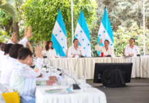 Gabinete de Gobierno respalda al jefe de las FFAA y culpa al bipartidismo del “boicot” en elecciones primarias