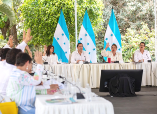 Gabinete de Gobierno respalda al jefe de las FFAA y culpa al bipartidismo del “boicot” en elecciones primarias