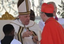 Cardenales de México, Centroamérica y el Caribe despiden al Papa Francisco: “Sembraste el Evangelio con tus gestos”