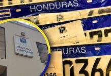 IP rechaza señalamientos de entrega selectiva de placas y ratifica que la licitación continúa en evaluación
