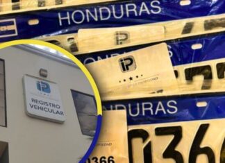 IP rechaza señalamientos de entrega selectiva de placas y ratifica que la licitación continúa en evaluación