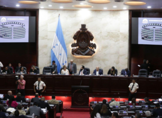 Proponen reducción salarial a diputados faltistas, pero su aprobación depende de ellos mismos