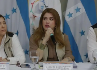 Ramón Barrios confirma comparecencia de consejeros del CNE ante comisión investigadora del Congreso Nacional