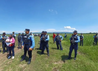 ONU pide a Honduras evitar «uso indebido» del derecho penal para criminalizar a campesinos