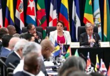 Líderes de la izquierda latinoamericana se reunirán en la Celac bajo la sombra de Trump