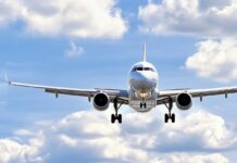 Mujer fue arrestada en EE. UU. por abofetear y azotar a un niño que la llamó «Miss Piggy» en un avión