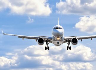 Mujer fue arrestada en EE. UU. por abofetear y azotar a un niño que la llamó «Miss Piggy» en un avión