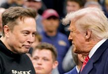 «Quisiera agradecer al presidente»: Elon Musk deja su cargo en la administración de Donald Trump