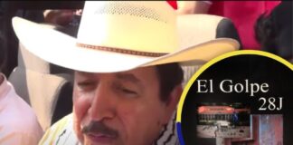 Mel sale en defensa de su libro: «Dejen que Xiomara gobierne; si ella decide publicarlo, está en su pleno derecho»