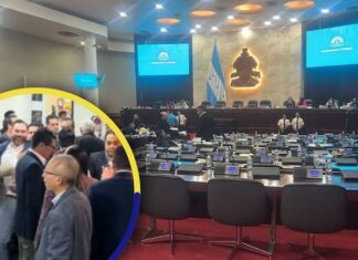 Entre caprichos, insultos y empujones terminó la sesión legislativa