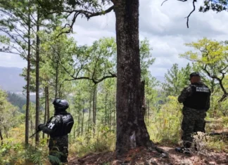 Drones, montaña y millones por Romeo Vásquez