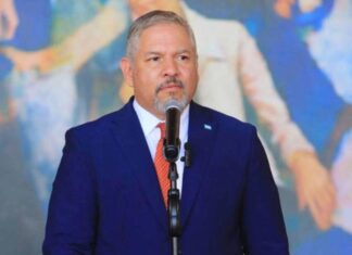 Avión presidencial no se ha vendido por presunto sobreprecio en la compra realizada por JOH, señala ex canciller Reina