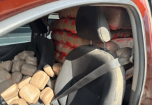 Policía Nacional decomisa más de 700 paquetes de marihuana en zona fronteriza de El Paraíso