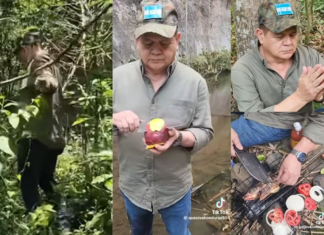 Romeo Vásquez: “Dormir en la selva es duro, pero más duro es ver cómo Mel y Xiomara destruyen la patria”