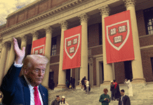 Juez extiende orden que impide a Trump prohibir a los estudiantes extranjeros en Harvard