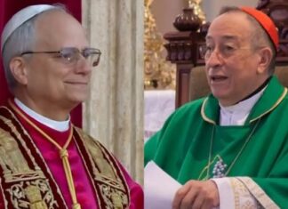 Cardenal hondureño dice que León XIV es «un gran hombre y un digno sucesor» de Francisco