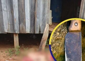 Hombre asesina a su propio hermano en Colón