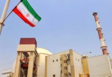 Putin: «Defendemos con hechos el derecho de Irán a la energía nuclear pacífica»