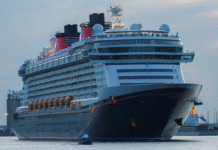 Milagroso rescate en altamar: niña cae al océano desde un crucero y su padre se lanza tras ella