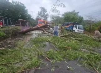 Fuertes lluvias dejan a más de 9,500 abonados sin energía en Comayagua