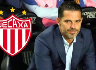 El argentino Fernando Gago llega al Necaxa en reemplazo de Nicolás Larcamón