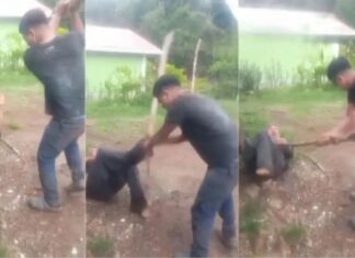 Joven agrede a su padre con un palo en Intibucá
