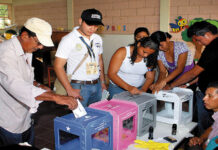 El CNE aprueba desembolso anticipado de deuda política por más de 85 millones a partidos políticos