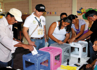 El CNE aprueba desembolso anticipado de deuda política por más de 85 millones a partidos políticos