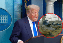 Trump irá a la apertura de Alligator Alcatraz, el nuevo centro de detención para migrantes