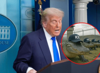 Trump irá a la apertura de Alligator Alcatraz, el nuevo centro de detención para migrantes