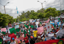 Productores anuncian movilización nacional por falta de apoyo gubernamental