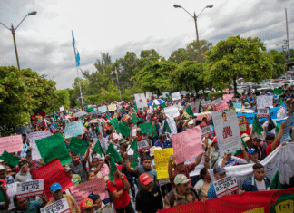 Productores anuncian movilización nacional por falta de apoyo gubernamental