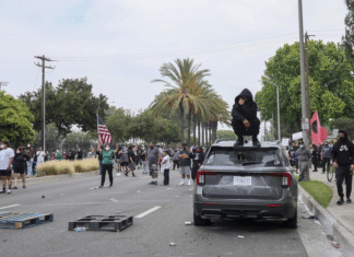 Administración de Trump publica la lista con 11 detenidos por protestas en Los Ángeles, entre ellos algunos hondureños