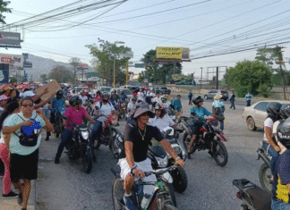 Inversionistas de Koriun recolectan firmas para nombrar representante legal