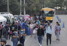 Emigrar o emprender, las únicas salidas para los jóvenes en Honduras, alerta académico de la UNAH