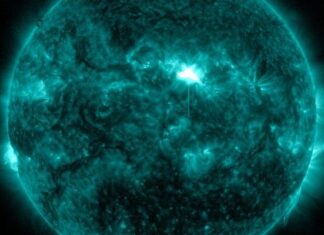 Una potente llamarada solar de clase X1.2 acaba de estallar en el sol, la categoría más intensa