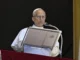 El papa pide en el Ángelus seguir trabajando para llegar a la paz a través del diálogo