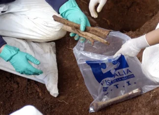 Hallan en fosa común ocho cuerpos de líderes sociales y religiosos asesinados en Colombia