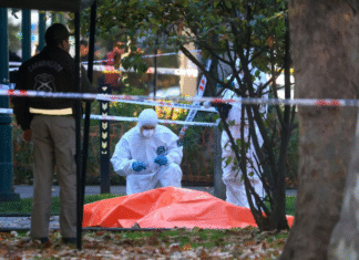 Tres sicarios del Tren de Aragua fueron detenidos en Chile: asesinaron a un comerciante