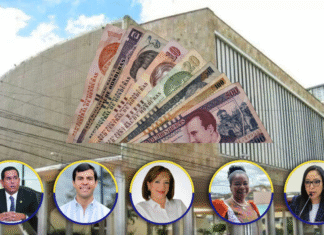 Antonio Rivera, Erasmo Portillo, Gladis Aurora, Johana Bermúdez y Lissi Cano figuran entre los nacionalistas que gestionaron subvenciones