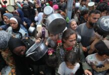 Un millón de mujeres y niñas en Gaza enfrentan malnutrición, violencia y abuso