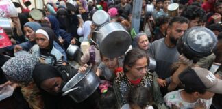 Un millón de mujeres y niñas en Gaza enfrentan malnutrición, violencia y abuso