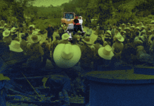 Alcalde de San Manuel de Colohete provocó «destrucción ambiental», según investigación de Insight Crime