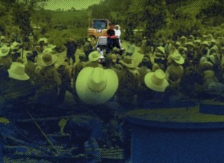 Alcalde de San Manuel de Colohete provocó «destrucción ambiental», según investigación de Insight Crime