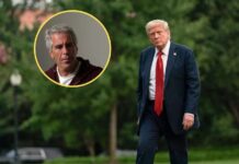 La Casa Blanca defiende que Trump ha sido «transparente» sobre el caso Epstein