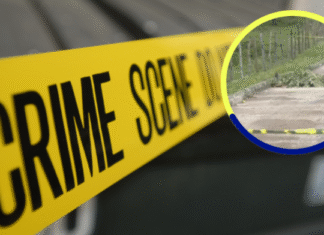 ¡Lo sacaron de su casa! Semidesnudo y torturado hallan cuerpo de hombre en Mateo