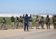 La mayor redada en un cultivo de California se salda con 361 detenidos en granja de cannabis